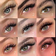 Brows By Lynn